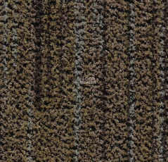 Forbo Coral Brush 5764 petrified grey фото 1 | FLOORDEALER